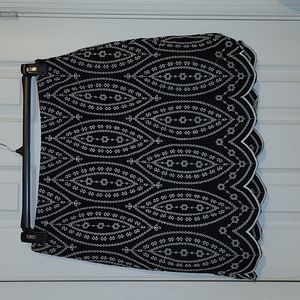 NWT Loft Skirt